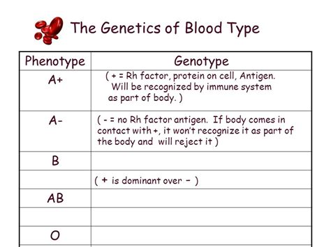 Punnett Square Blood Type Chart Parents Rh Factor - Blood Type Articles