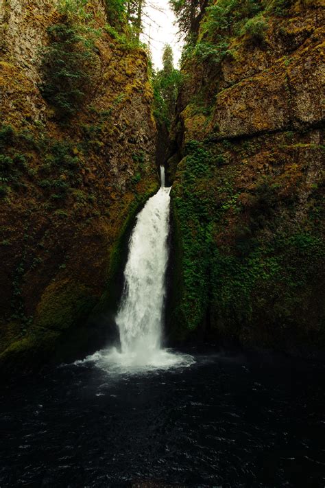 10 Of The Most Scenic Hiking Trails In Oregon (For Varying Skill Levels)