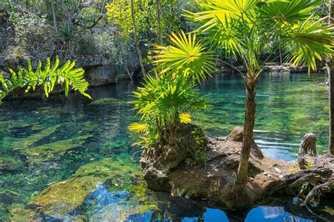 Snorkeling in the cenotes 2023 - Playa del Carmen