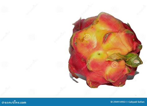 One pink dragon fruit stock image. Image of color, isolate - 294914953