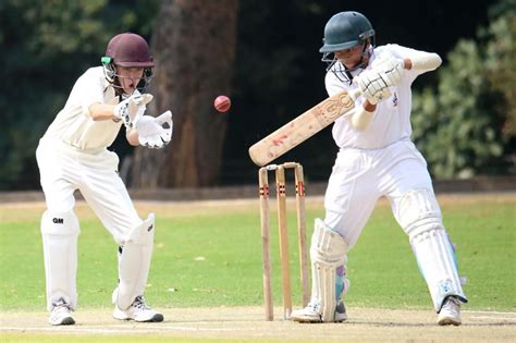 Découvrez le cricket et faites partie du club havrais à la rentrée - Paris Normandie