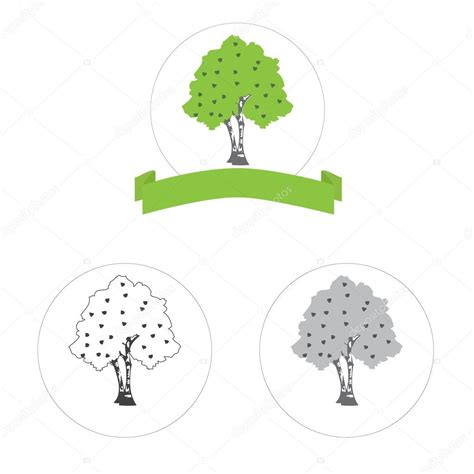 Vector birch tree — Stock Vector © paveu #96752348