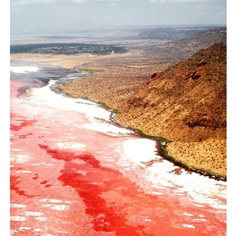 Lake Natron is a salt lake in Northern Tanzania with beautiful pink petrifying water. #tanzania ...