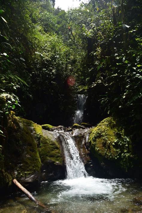 Cascada Azul of Mindo - Ecuador | Mindo ecuador, Ecuador, Scenery