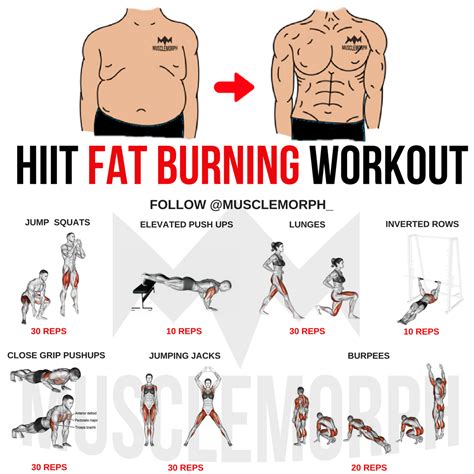 Weight Loss Exercises For Men At Gym - WEIGHTLOL
