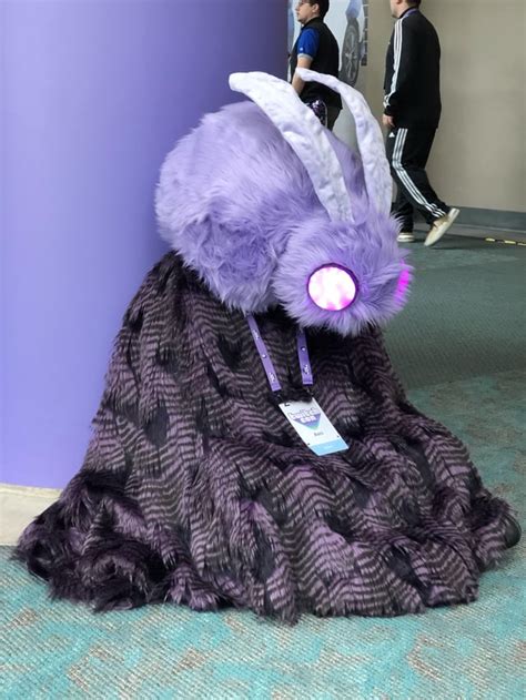 I promised you a photo! My Seer cosplay at TwitchCon : r/HollowKnight