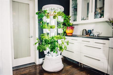 Nutritower Vertical Hydroponic Indoor Garden | Culture hydroponique, Jardins verticaux ...