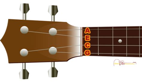 Which Ukulele String Is The Thickest? Uke Like The Pros, 44% OFF