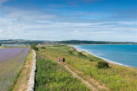 Stage 2: Warkworth to Craster - The Stages Of The Walk - The Route : Northumberland Coast Path ...