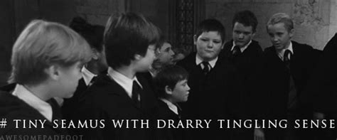 Drarry gif - harry y draco foto (31688068) - fanpop