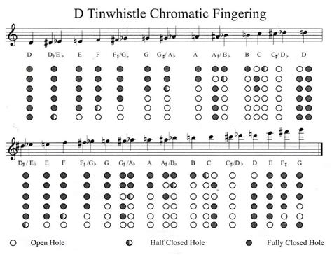 Impara a suonare il tin whistle: le note acute