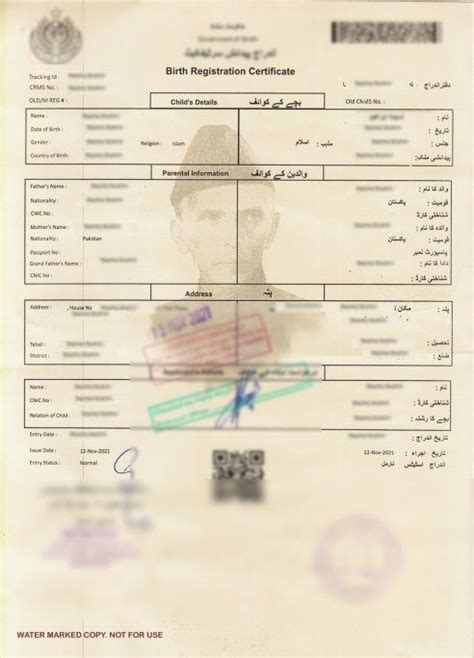 Nadra Birth Certificate in 2022 | Birth certificate, Certificates online, Birth certificate online