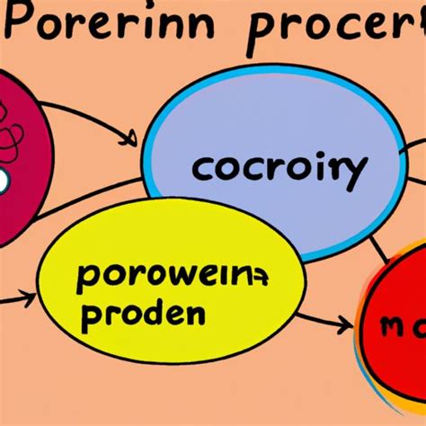 The Role of the Prefrontal Cortex in Decision Making - The Enlightened Mindset