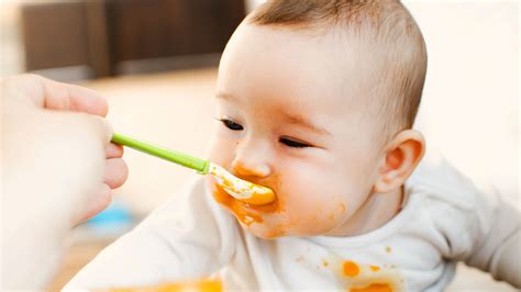 The Best Iron-Rich Foods for Babies (and How to Increase Absorption)