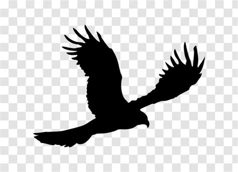 Bald Eagle Silhouette Transparent PNG