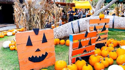 Irvine Park Railroad Pumpkin Patch prices for food, tickets and more!