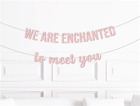 We Are Enchanted to Meet You Banner, Enchanted to Meet You Themed Baby ...