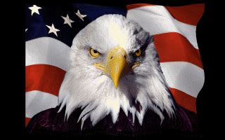 Animated American Flag With Eagle | Hot Sex Picture