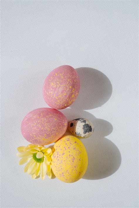 Easter Eggs in Pastel Colors · Free Stock Photo