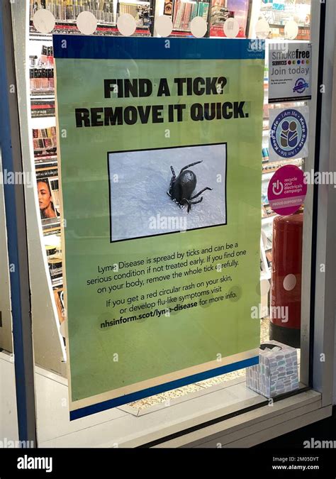 Tick removal health and safety poster for Lyme disease Stock Photo - Alamy