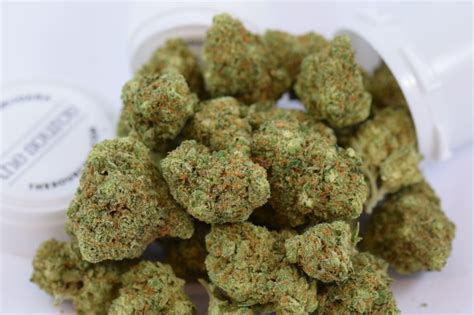 10 of the Latest Cannabis Cup Winning Strains | AllBud