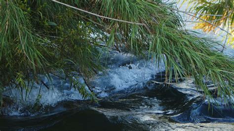 Waterfall View in Wild Nature 13291008 Stock Video at Vecteezy