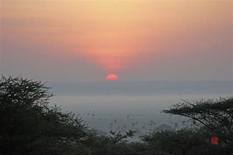 Serengeti Sunrise Digital Art by David Jenkins | Pixels