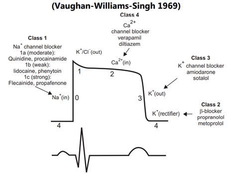 Anti-Arrhythmic Drugs (Arrhythmia) - Solution Parmacy