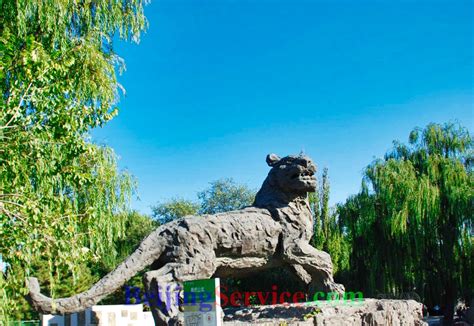 History of Beijing Zoo