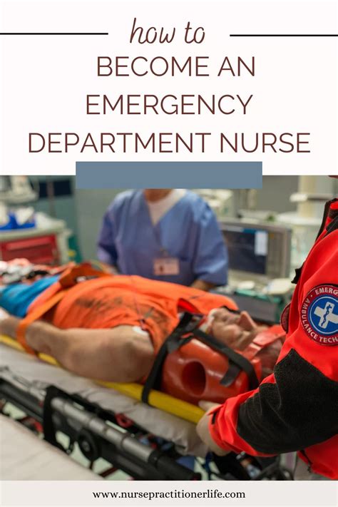 How to Become an Emergency Department Nurse - Nurse Practitioner Life