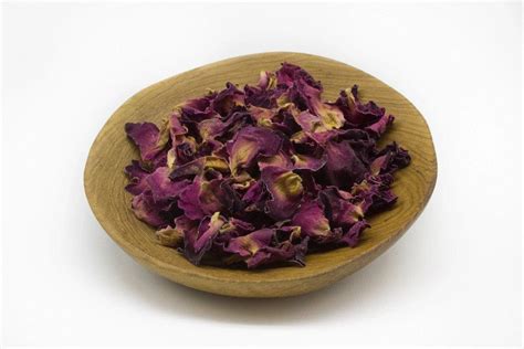 Rose Petals (Rosa centifolia) – Natural Alchemy