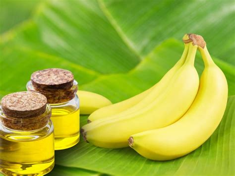 Health Benefits Of Banana Oil - Controls Oily Skin And Hair And ...