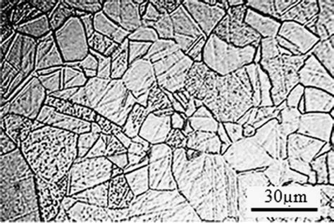 Microstructure image of surface of AISI 316L austenitic stainless steel ...