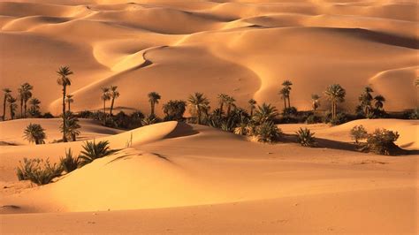 Desert Saudi Arabia Wallpapers - Top Free Desert Saudi Arabia ...