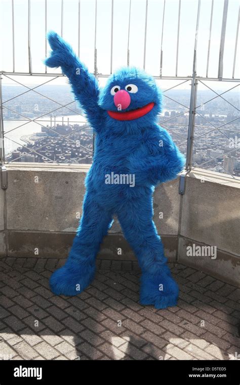 Grover Sesame Street Face