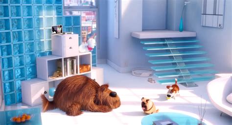 Image - Gidget apartment.png | The Secret Life of Pets Wiki | FANDOM powered by Wikia