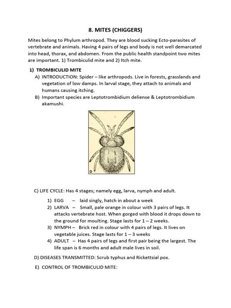 8 Mites | PDF