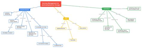 Concept Map Examples Nursing Students - Floria Anastassia