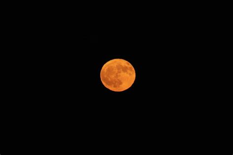 October Harvest Moon Photograph by Cynthia Guinn