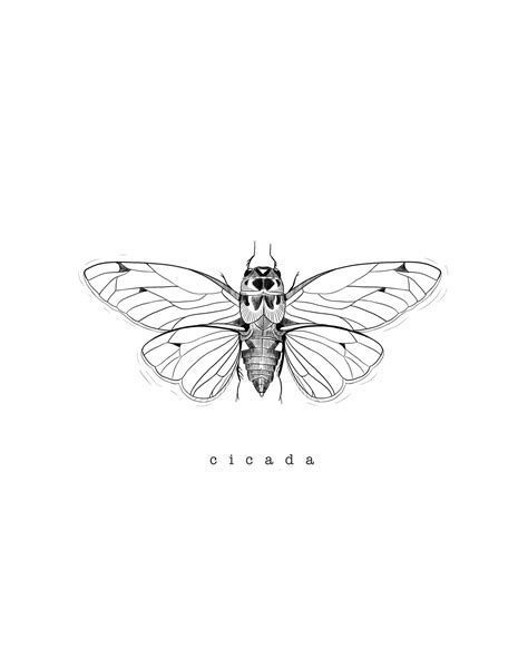 cicada print — Brevity Art