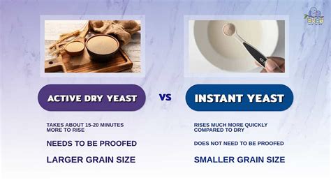 Active Dry Yeast vs. Instant Yeast: Which is Better & 4 Key Differences