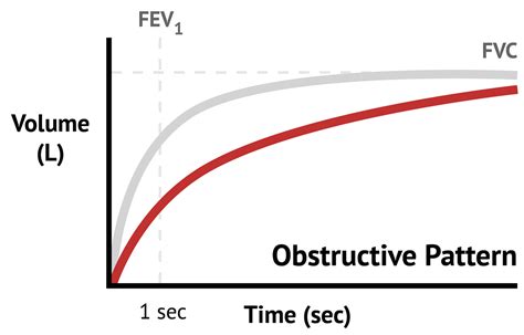 Volume-Time Graphs | Lung Function Tests - MedSchool