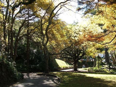 Wellington Botanic Garden - Alchetron, the free social encyclopedia