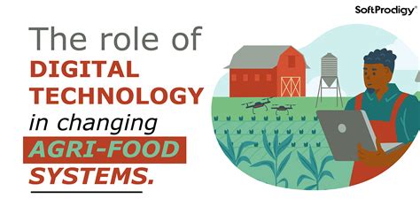 Digital transformation consulting services for agri-food systems