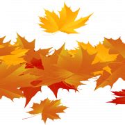 Fall Leaves PNG Free Image - PNG All
