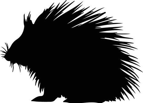 porcupine black silhouette 38102727 Vector Art at Vecteezy