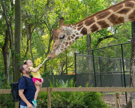 Central Florida Zoo - EcoTourism