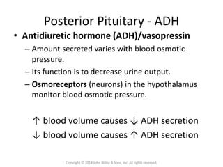 hypothalamus-and-pituitary-hormones.pptx