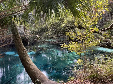 Juniper Springs Recreation Area In Ocala National Forest - Ocala-News.com