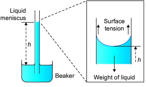 4: Schematic of capillary rise in a single vertical capillary ...